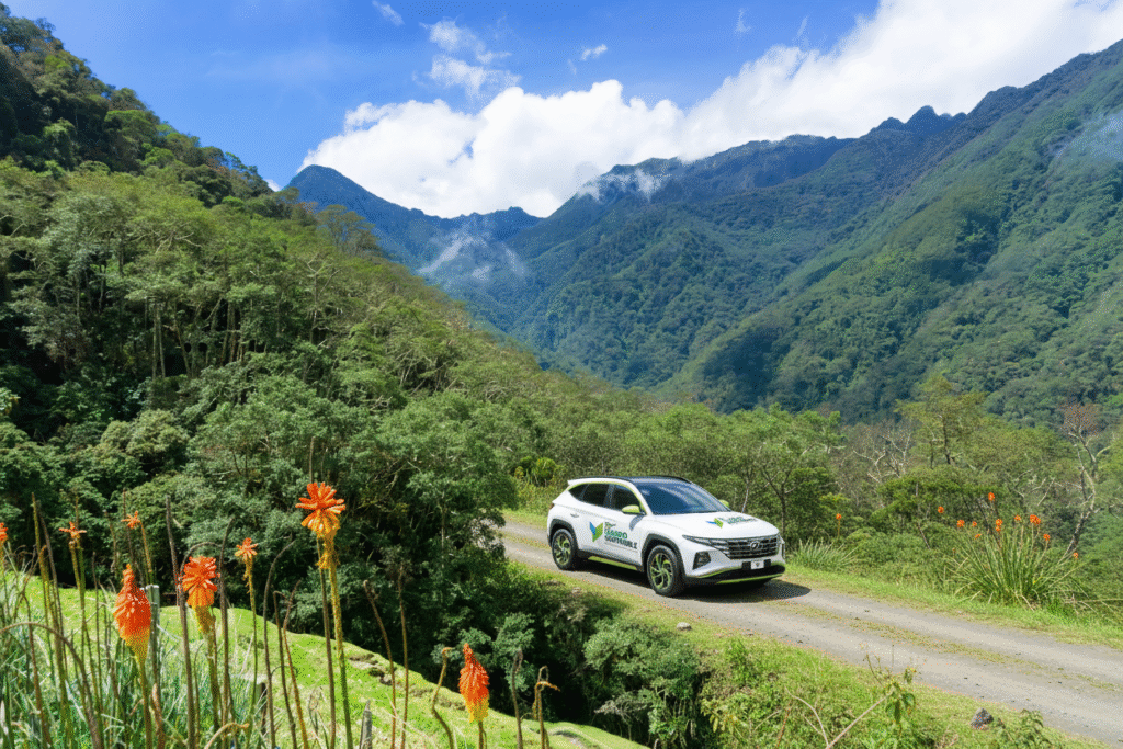 Tucson Mountain Valley